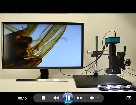 4K 显微镜相机视频